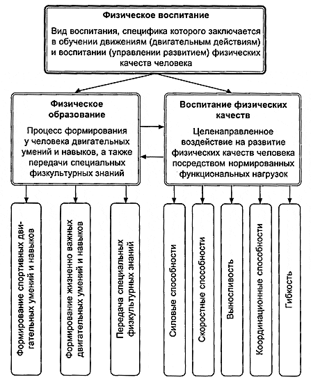 Курсовая Работа По Педагогике Физическое Воспитание Курсовая Работа По Педагогике Физическое Воспитание