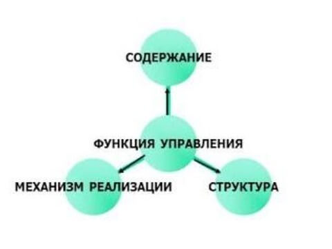 Основные характеристики функций управления организацией