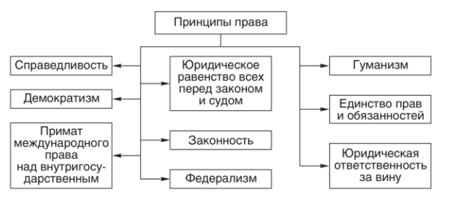 Принципы права