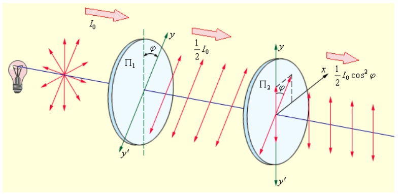 Прохождение естественного света через два идеальных поляроида