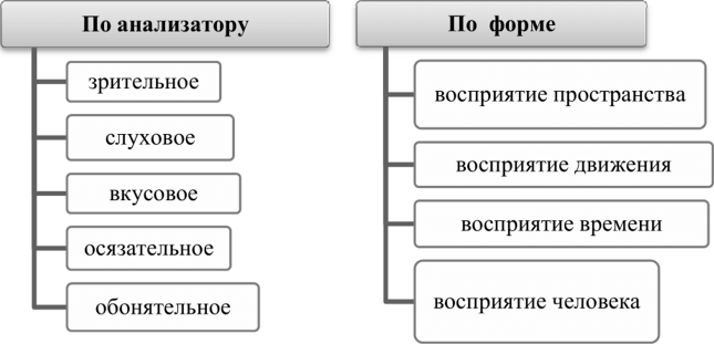 Виды восприятия