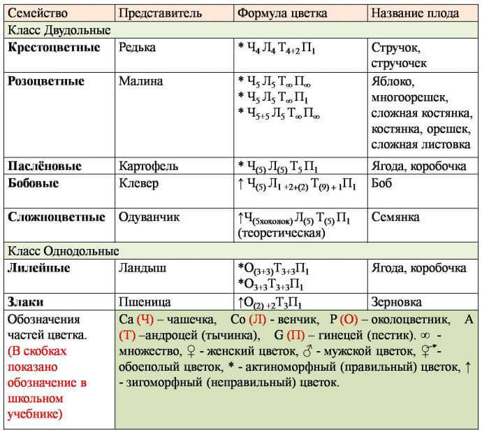 Таблица основных признаков семейств растений