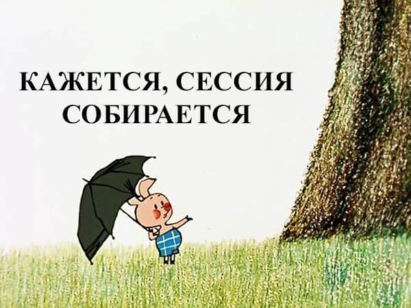 Сессия начинается