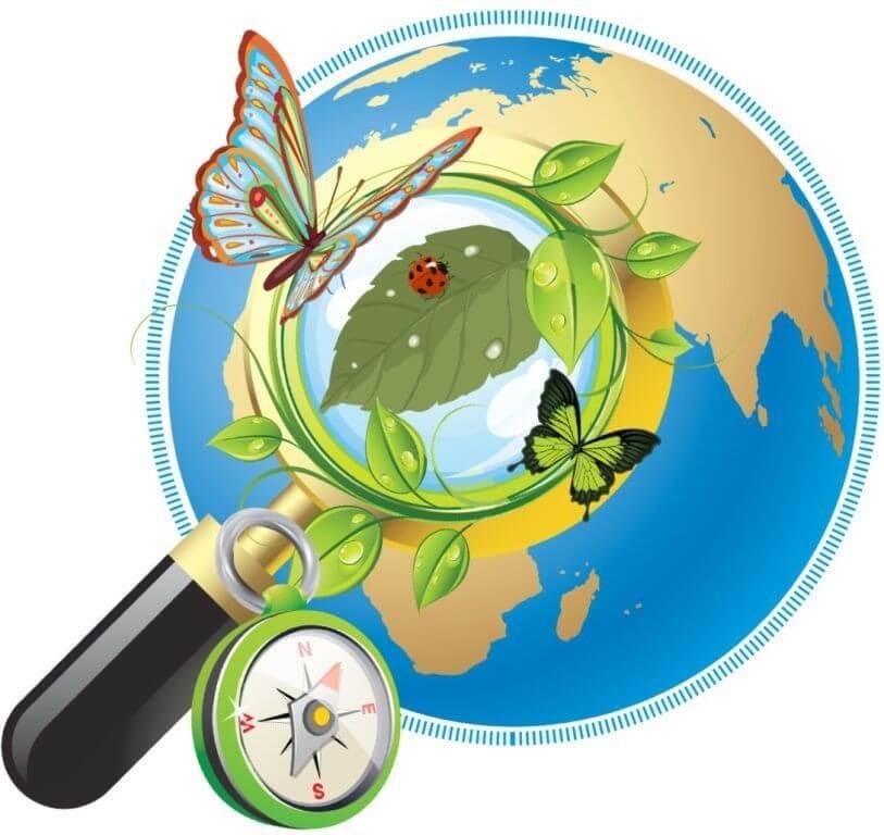 Что такое естествознание? Какие бывают науки?