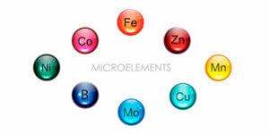 что такое микроэлементы?