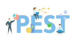 PEST и STEP анализ